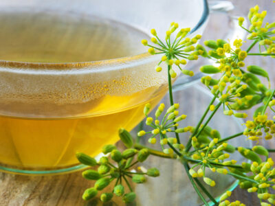 Alles über Fencheltee: Fenchel Tee Wirkung und Anwendung