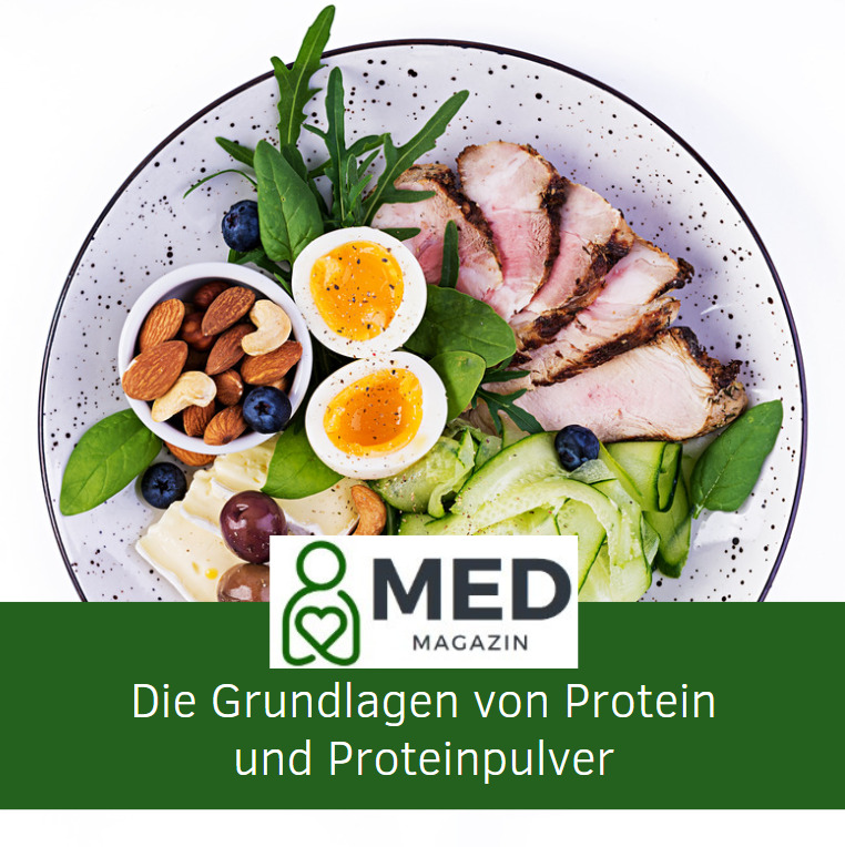 Die Grundlagen von Protein und Proteinpulver