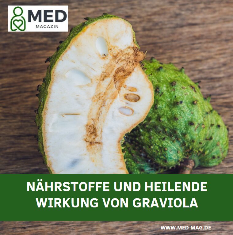 Nährstoffe und heilende Wirkung von Graviola Nährstoffe und heilende Wirkung von Graviola