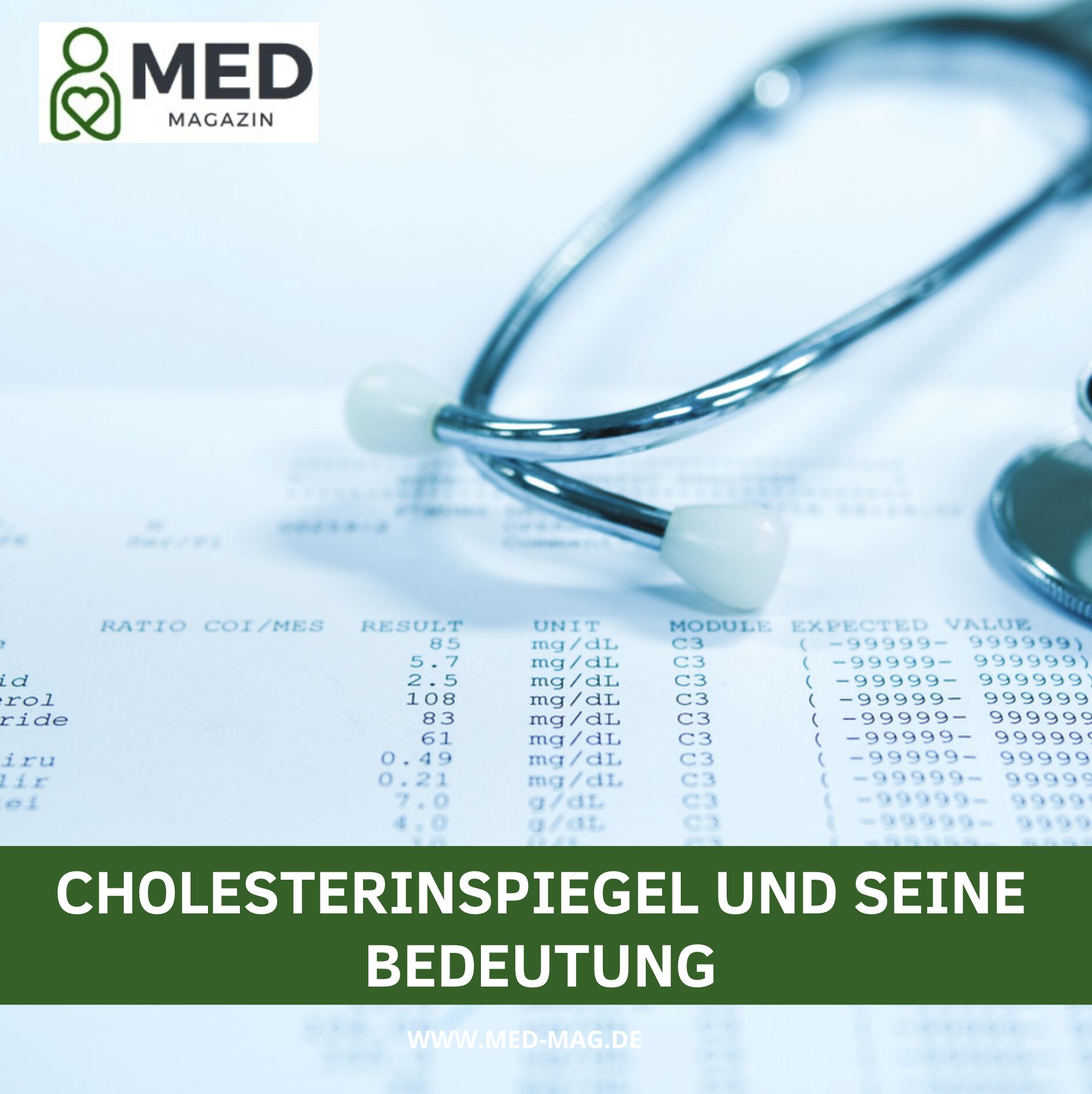 Cholesterinspiegel und seine Bedeutung