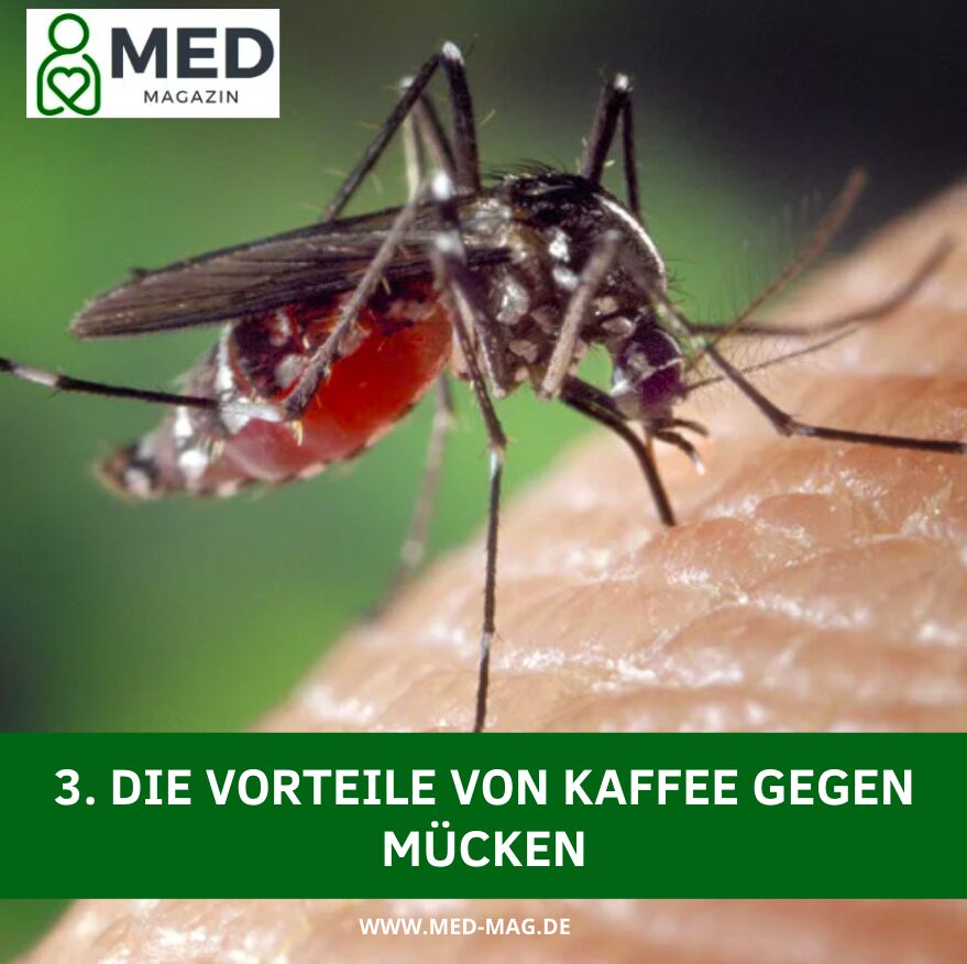 3. Die Vorteile von Kaffee gegen Mücken