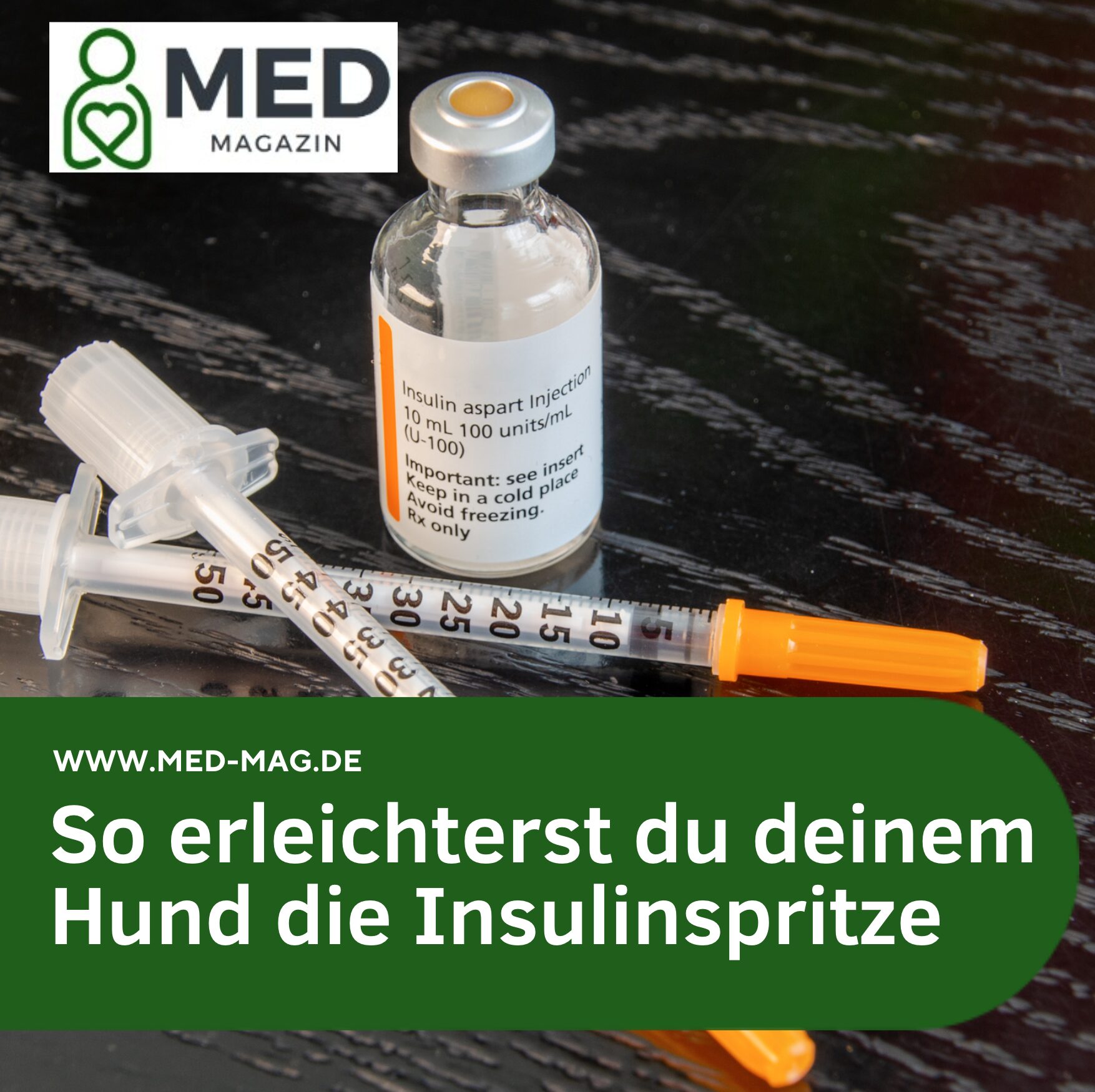 So erleichterst du deinem Hund die Insulinspritze