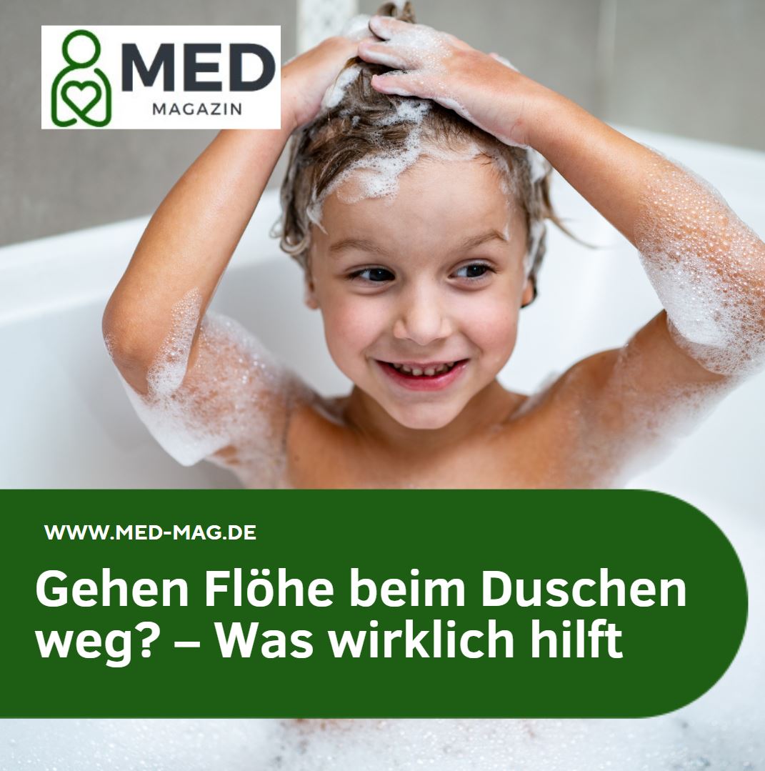 Gehen Flöhe beim Duschen weg – Was wirklich hilft