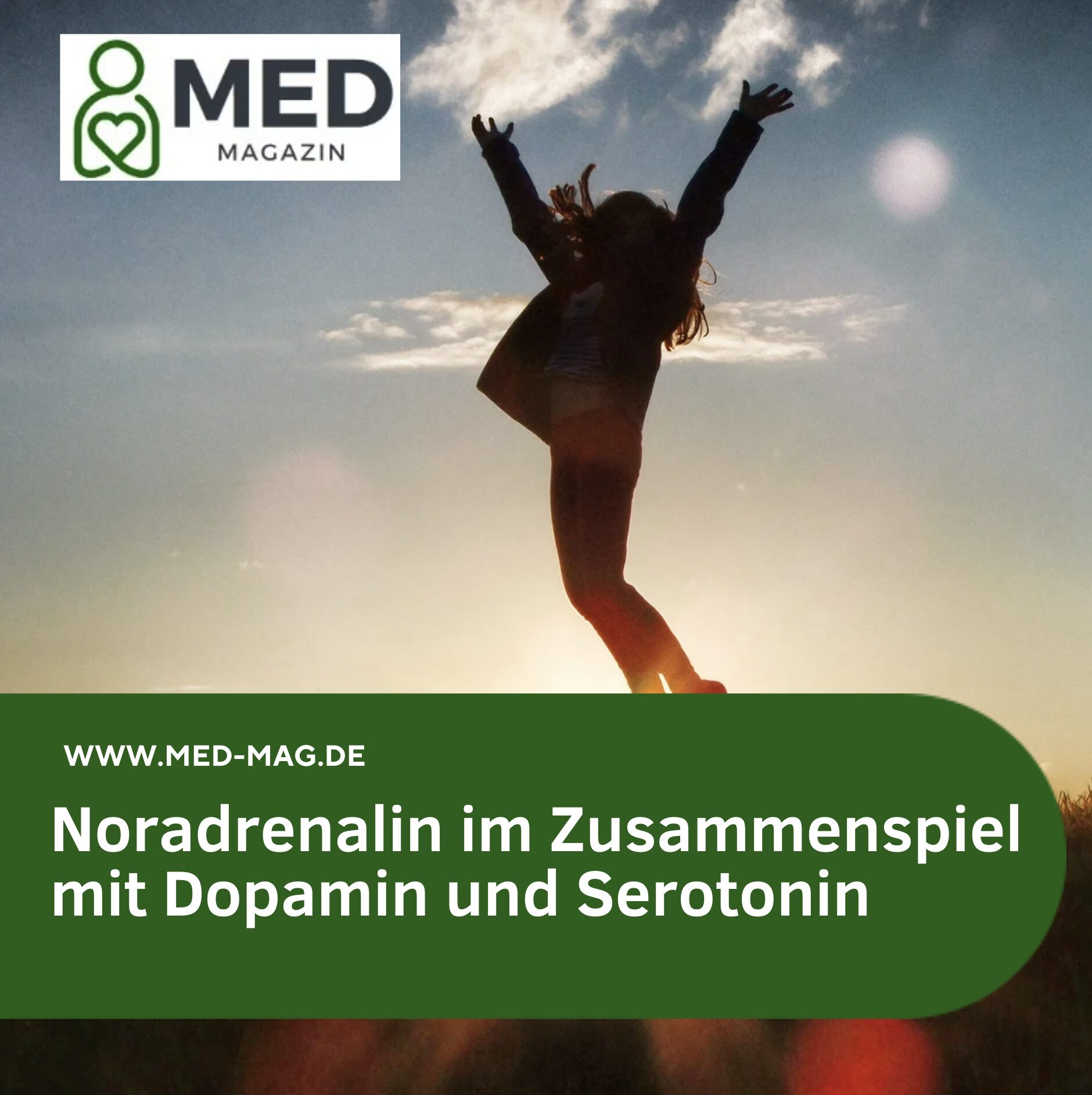 Noradrenalin im Zusammenspiel mit Dopamin und Serotonin Noradrenalin im Zusammenspiel mit Dopamin und Serotonin