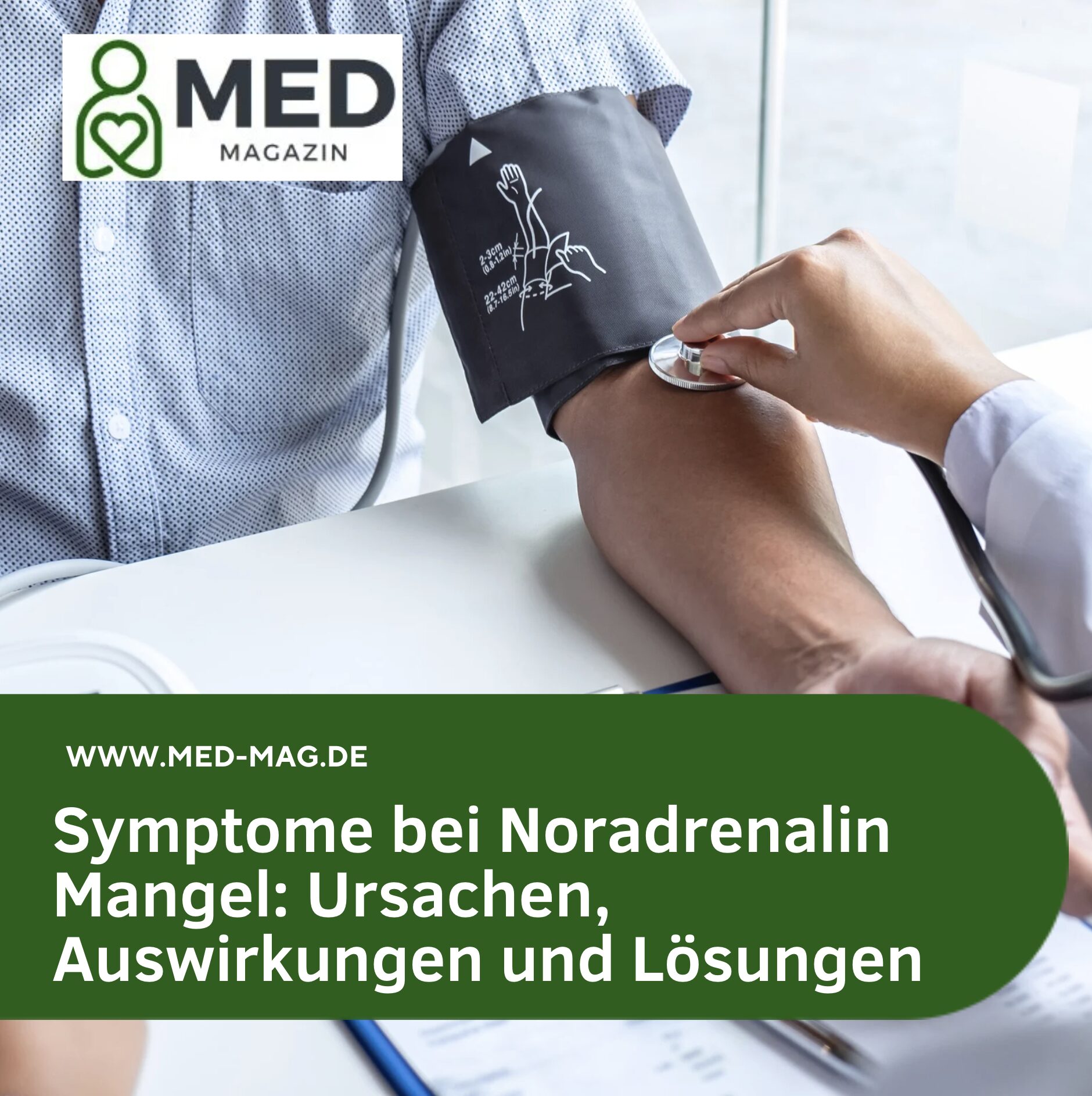 Symptome bei Noradrenalin Mangel: Ursachen, Auswirkungen und Lösungen Symptome bei Noradrenalin Mangel: Ursachen, Auswirkungen und Lösungen