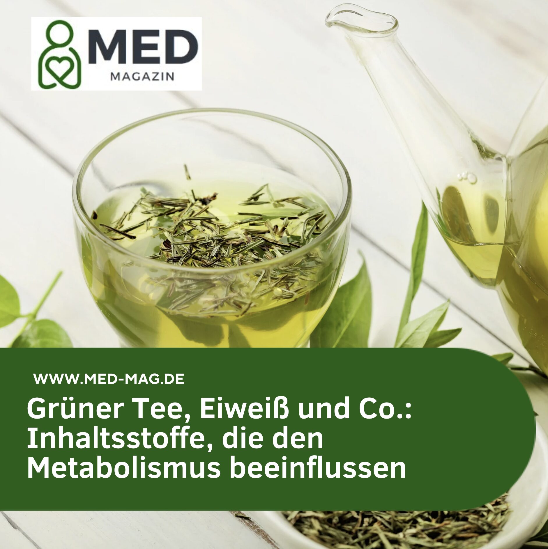 Grüner Tee, Eiweiß und Co.: Inhaltsstoffe, die den Metabolismus beeinflussen