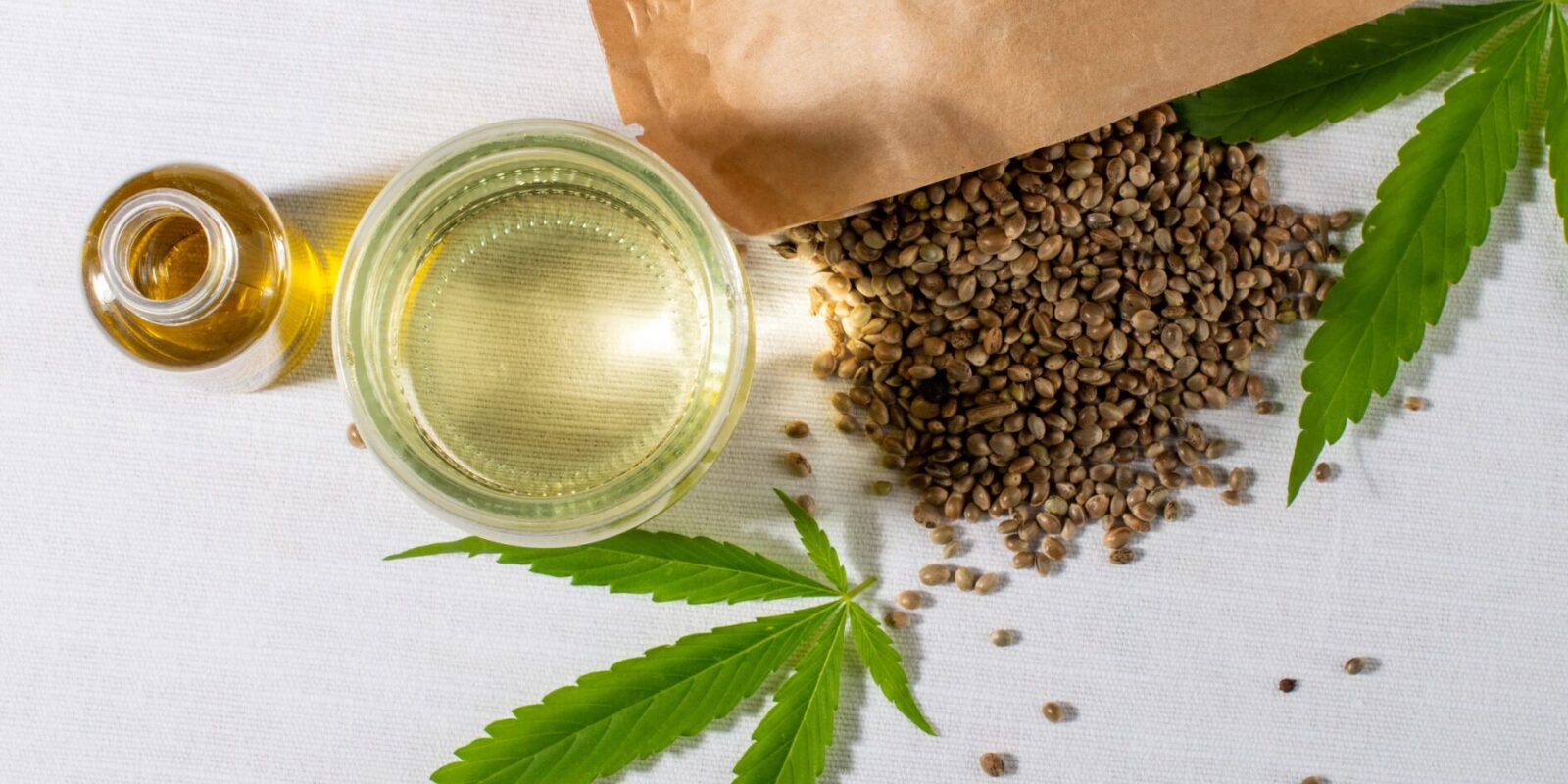 Die faszinierende Welt der Cannabis-Genetik Ein Überblick über verschiedene Hanfsamen-Kategorien