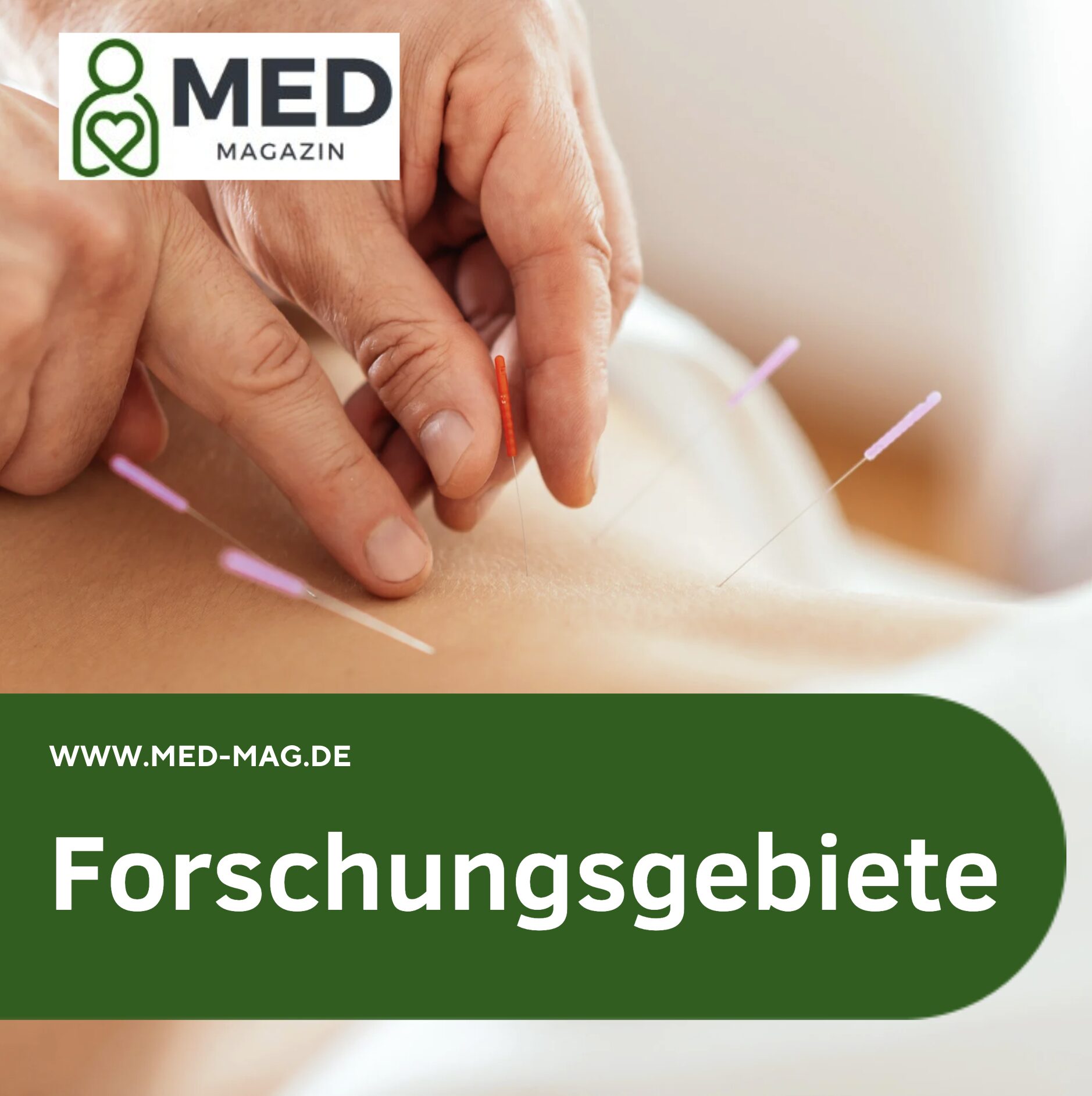 Forschungsgebiete Pro. Dr. Harald Walach