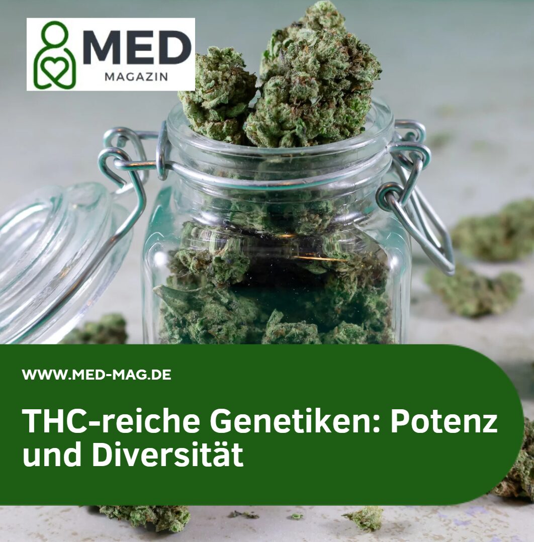 THC-reiche Genetiken Potenz und Diversität