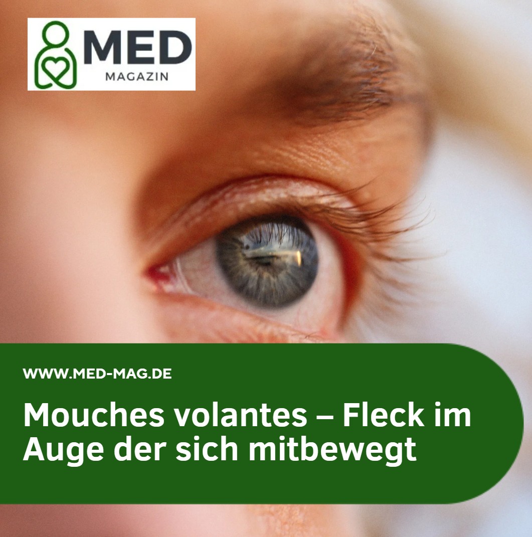Mouches volantes – Fleck im Auge der sich mitbewegt