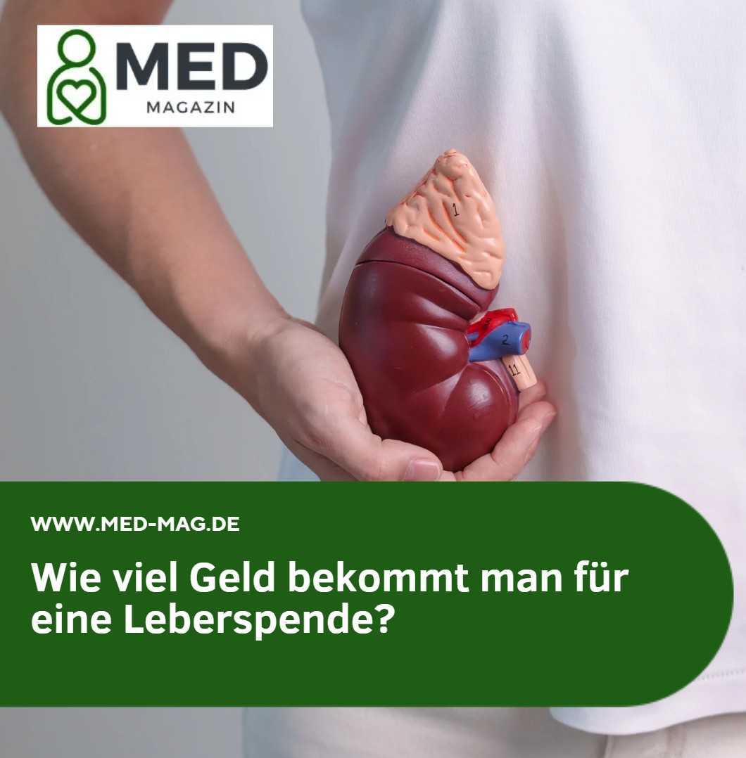 Wie viel Geld bekommt man für eine Leberspende