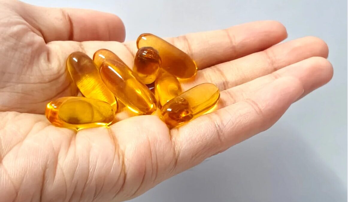 norsan omega 3 vegan kapseln