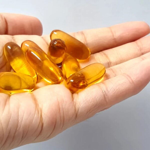 norsan omega 3 vegan kapseln