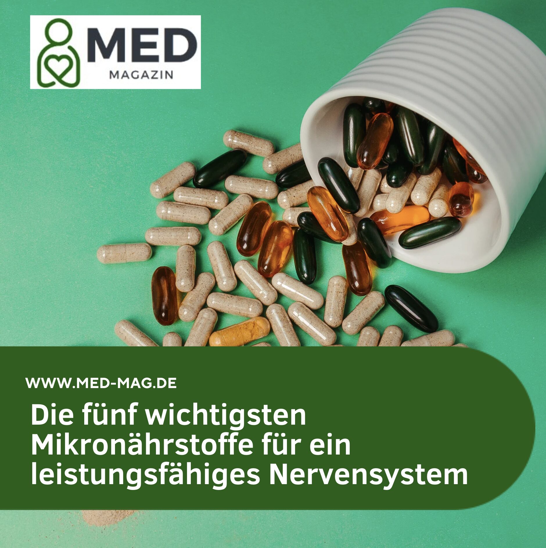 Die fünf wichtigsten Mikronährstoffe für ein leistungsfähiges Nervensystem Die fünf wichtigsten Mikronährstoffe für ein leistungsfähiges Nervensystem