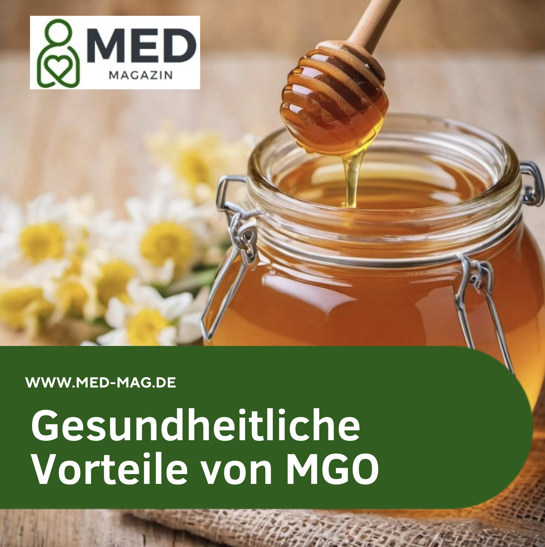 Gesundheitliche Vorteile von MGO Gesundheitliche Vorteile von MGO