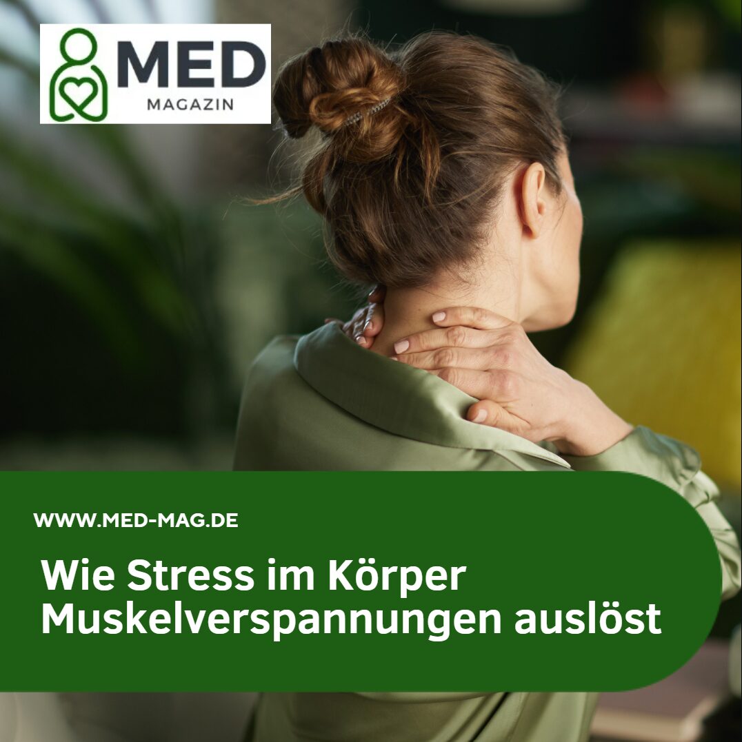 stress im körper muskeverspannung stress im körper muskeverspannung