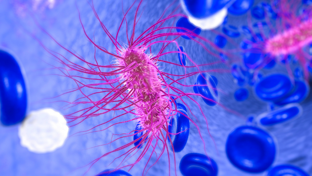 Was tötet E coli-Bakterien Diese Methode tötet die Bakterien zuverlässig ab