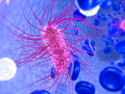 Was tötet E coli-Bakterien Diese Methode tötet die Bakterien zuverlässig ab
