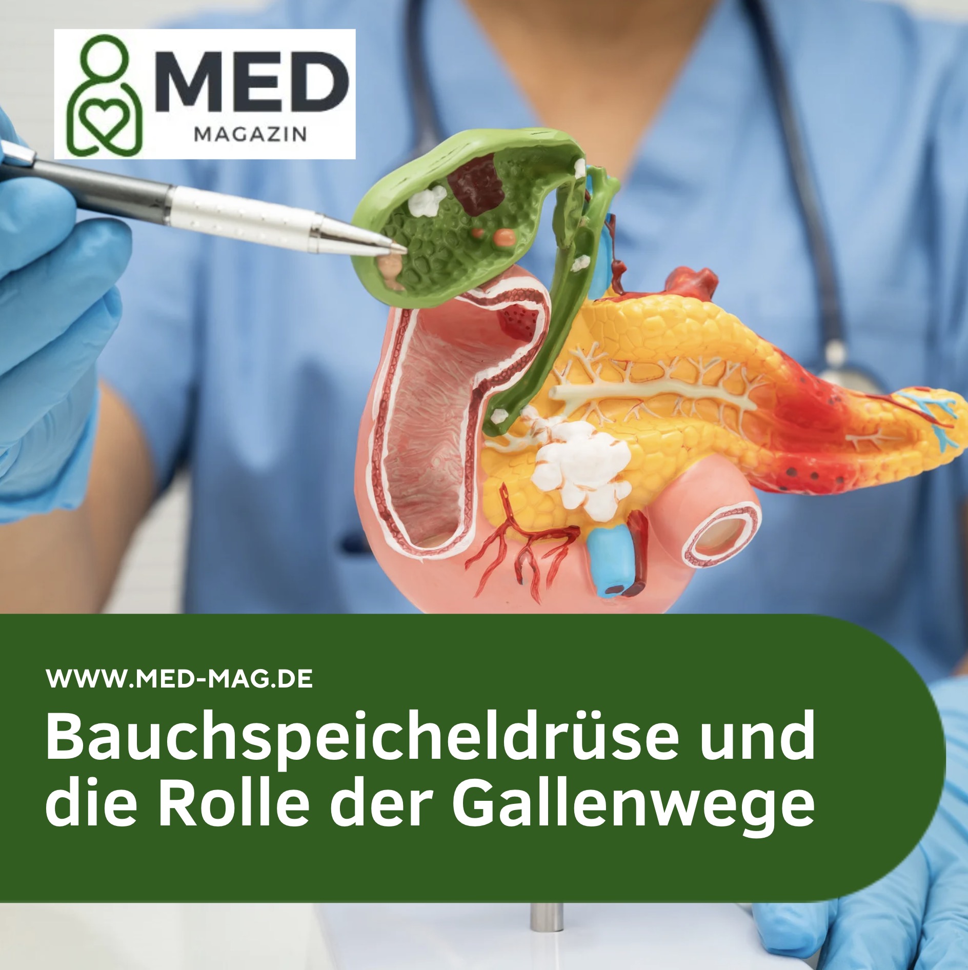 Bitterer Geschmack im Mund - Bauchspeicheldrüse und die Rolle der Gallenwege Bitterer Geschmack im Mund - Bauchspeicheldrüse und die Rolle der Gallenwege