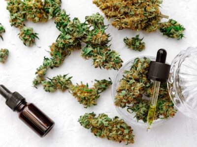 CBD-Blüten als Gesundheitstrend