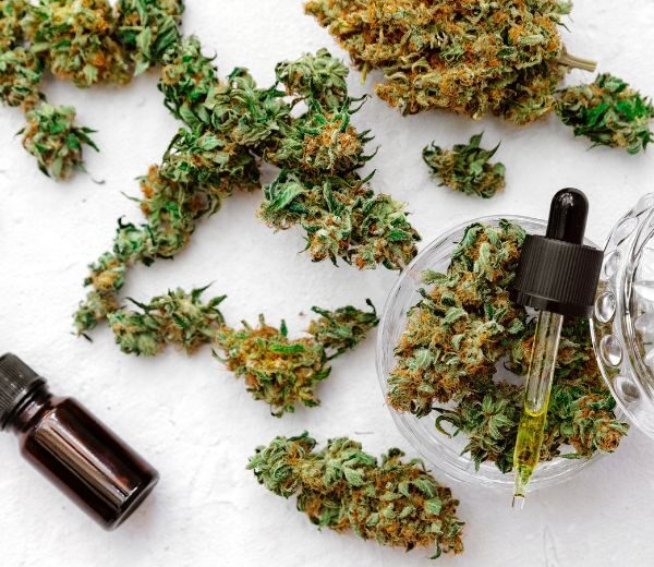 CBD-Blüten als Gesundheitstrend