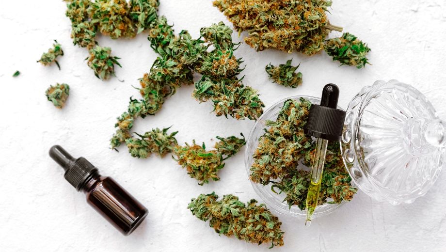 CBD-Blüten als Gesundheitstrend