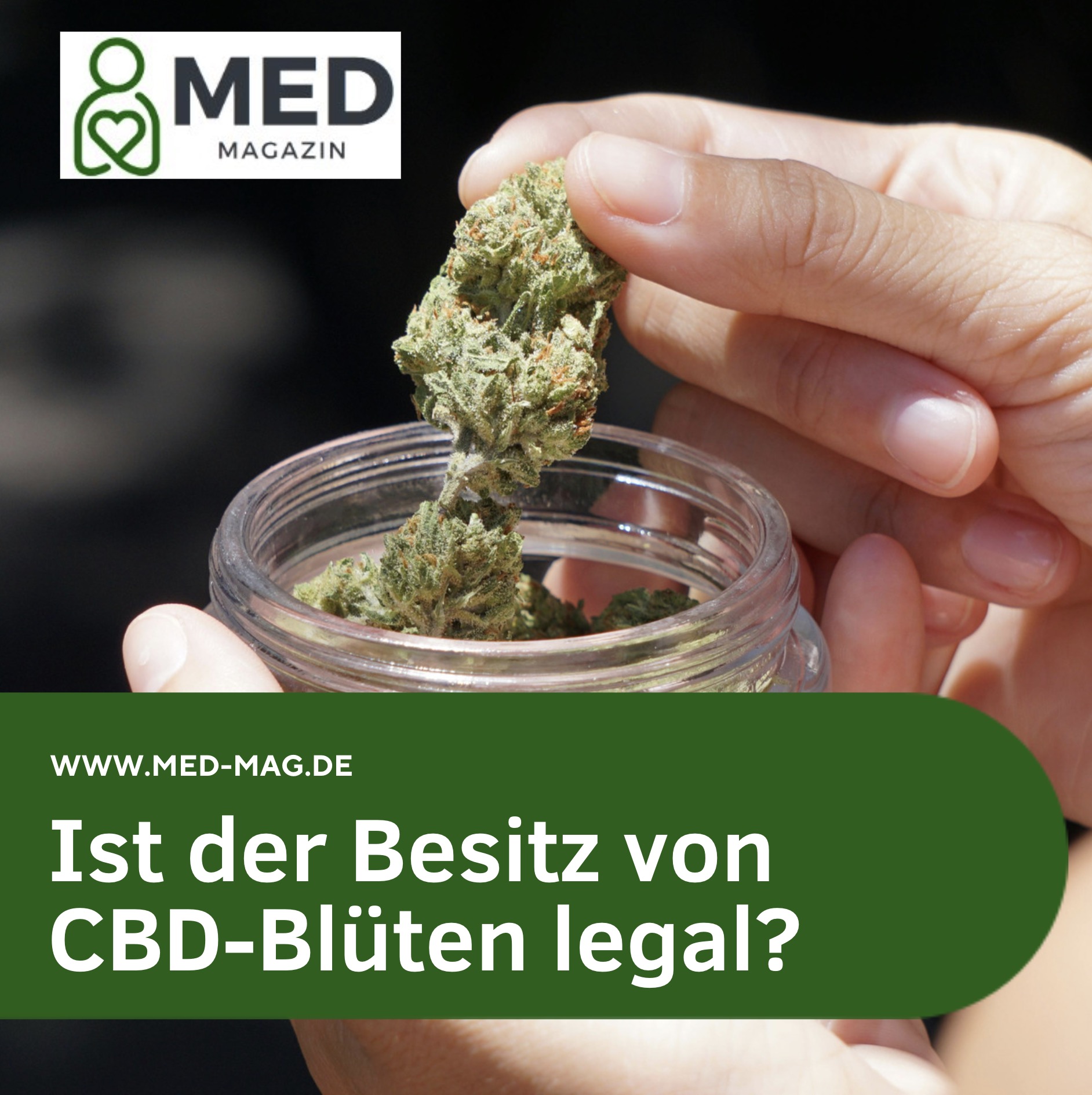 Ist der Besitz von CBD-Blüten legal? Ist der Besitz von CBD-Blüten legal?