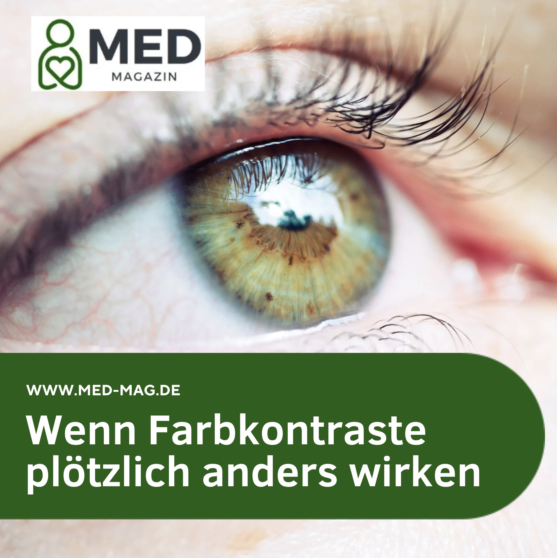 Wie sehen Farbenblinde die Welt? Wenn Farbkontraste plötzlich anders wirken Wie sehen Farbenblinde die Welt? Wenn Farbkontraste plötzlich anders wirken